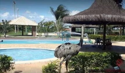 Fazenda Real Residence I e II - CASA DE CONDOMÍNIO  / CASA EM MACAÍBA-RN / CASA DE CONDOMÍNIO EM NATAL / CASA ALTO PADRÃO / CASA COM PISCINA EM MACAIBA / CASA EM MACAIBA / CONDOMÍNIO FAZENDA REAL / CA