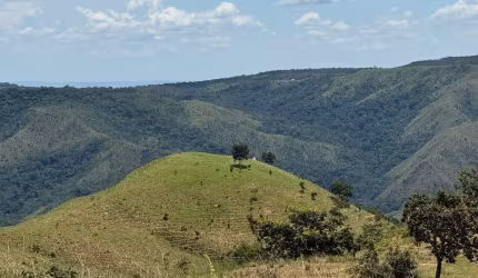 Fazenda à Venda em Bom Jardim de Goiás