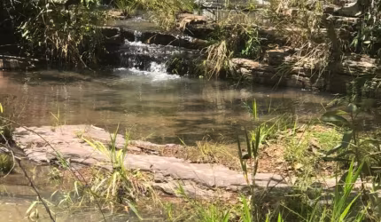 Fazenda Canabrava à Venda – Município Flores, GO