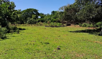 Fazenda à Venda em Nova Xavantina - MT