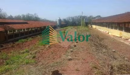Sítio Estrada São Carlos Ribeirão - próximo São Carlos