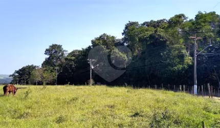 Terreno para venda.