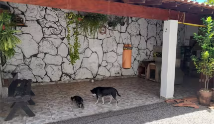 Ótima Casa com Área Gourmet e Garagem para 3 Carros no Parque Douradinho