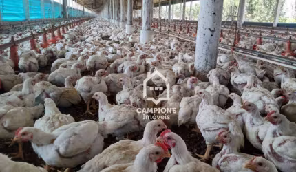 Sítio à venda, 243600 m² por R$ 4.000.000,00 - Zona Rural - Iperó/SP