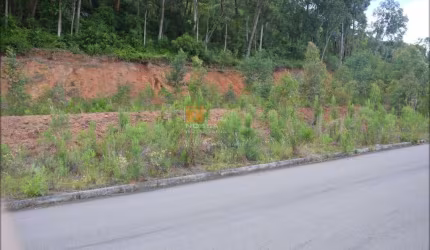 Terreno à venda na Rua Amélia Pinguella Bonatto, 248, São Luiz, Caxias do Sul por R$ 197.500