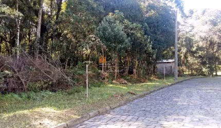 Terreno à venda na Rua Adolpho Libardi, 11, São Virgílio, Caxias do Sul por R$ 3.200.000