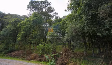 Terreno à venda na Avenida Capivari, 2643, Jardim Eldorado, Caxias do Sul por R$ 550.000
