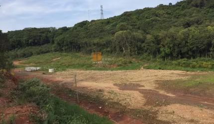 Terreno à venda na Rodovia RSC-122, Linha 40, Caxias do Sul por R$ 3.500.000
