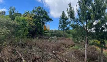 Terreno à venda na Estrada Municipal Avelina Tomazzoni Piccoli, 01, Monte Bérico, Caxias do Sul por R$ 180.000