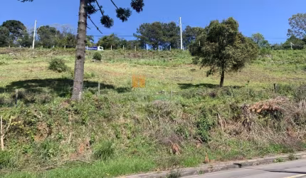Terreno à venda na Estrada do Imigrante, 1, Nossa Senhora das Graças, Caxias do Sul por R$ 160.000