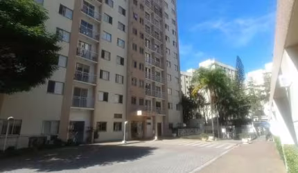 Seu novo lar na Trajano Reis te espera! FL43