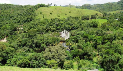 Área à venda, 200000 m² por R$ 700.000,00 - Palmeiras - Natividade da Serra/SP