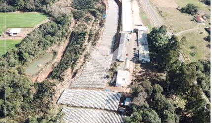 Propriedade para produção de morangos