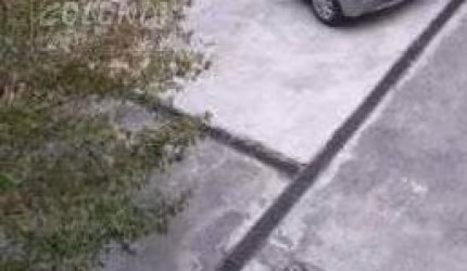 Prédio para venda ou locação - Nova Petrópolis, São Bernardo do Campo