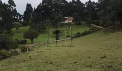 Chácara / sítio com 3 quartos à venda na Travessão Pedro Américo, 98, Serrano, Caxias do Sul por R$ 3.800.000