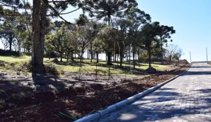 Terreno à venda na Gen. Alexandre M. Simões dos Reis, 100, Mariland, Caxias do Sul por R$ 400.000