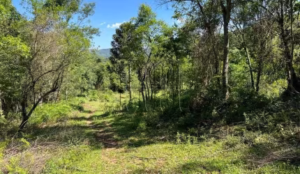 Chácara / sítio à venda na Distrito Linha Marcondes, 04, Carazal, Gramado por R$ 1.950.000