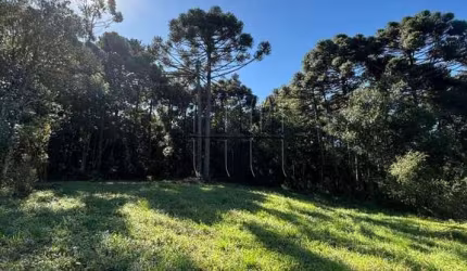 Chácara / sítio à venda na São Roque, 1, Fazenda Souza, Caxias do Sul por R$ 166.000