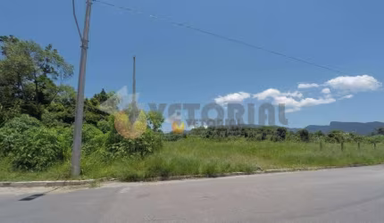 Terreno, 4700 m² - venda por R$ 1.300.000,00 ou aluguel por R$ 3.000,00/mês - Barranco Alto - Caraguatatuba/SP