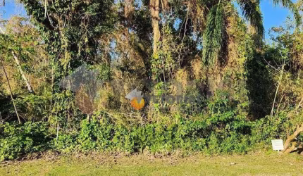 Terreno à venda, 384 m² por R$ 300.000,00 - Massaguaçu - Caraguatatuba/SP