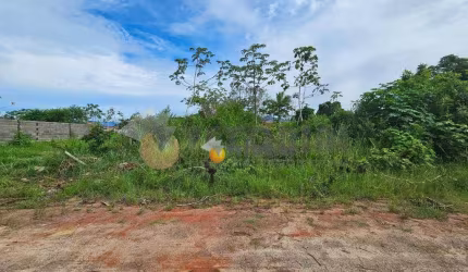 Terreno à venda, 360 m² por R$ 130.000,00 - Morro do Algodão - Caraguatatuba/SP