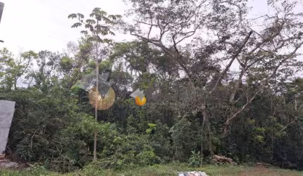 Terreno à venda, 360 m² por R$ 140.000,00 - Massaguaçu - Caraguatatuba/SP
