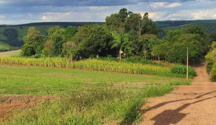 Chácaras, Zona Rural  em Vera Cruz do Oeste/PR