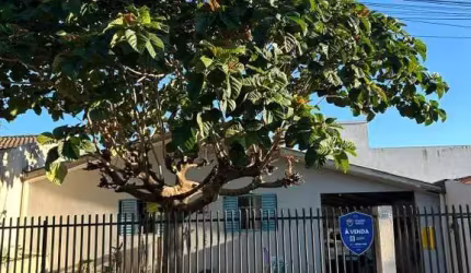 Casas, Floresta em Cascavel/PR