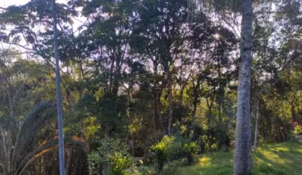 Chácara / sítio com 5 quartos à venda na Rua Eugênia, Vale das Serras, Suzano, 5850 m2 por R$ 700.000
