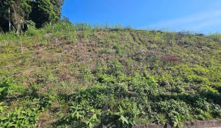 Terreno à venda, 476 m² por R$ 350.000,00 - Fortaleza - Blumenau/SC