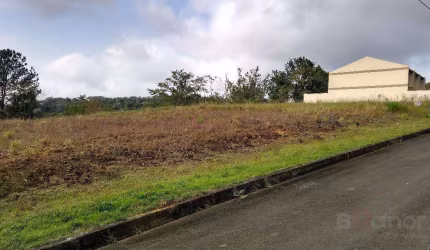 Terreno à venda, 390 m² por R$ 178.000,00 - Itoupava Central - Blumenau/SC