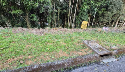 Terreno à venda, 765 m² por R$ 550.000,00 - Velha - Blumenau/SC