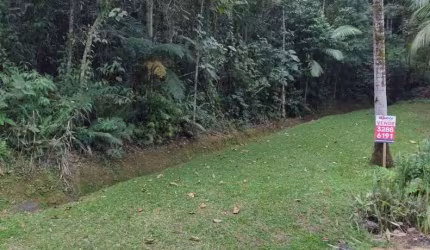 Terreno à venda, 2445 m² por R$ 550.000,00 - Testo Central - Pomerode/SC