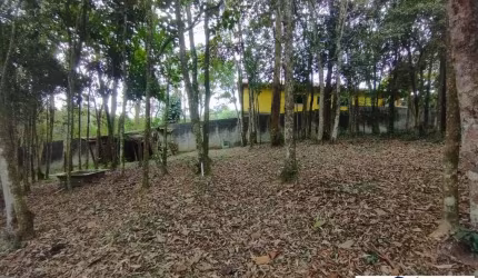 Terreno no bairro Riacho Grande.