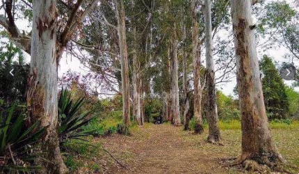 Terreno à venda, 72600 m² por R$ 6.000.000,00 - Araçoiaba da Serra - Araçoiaba da Serra/SP
