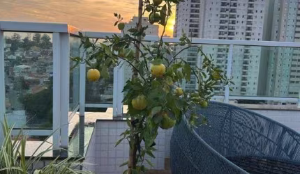 Cobertura com 3 dormitórios à venda, 380 m² por R$ 3.900.000 - Olímpico - São Caetano do Sul/SP