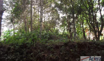 Terreno à venda, 500 m² por R$ 290.500,00 - Granja Viana II Gleba 1 e 2 - Cotia/SP