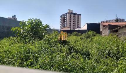 Terreno - Vila Rosália - Guarulhos
