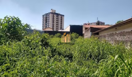 Terreno - Vila Rosália - Guarulhos