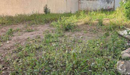 Terreno a venda, 264 m² por R$ 930.000 - Vila Leopoldina - São Paulo/SP