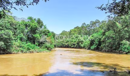 Terreno à venda na Rua Maria Leonor Pinheiro Porto, 945, Bananal, Campinas, 260 m2 por R$ 1.250.000