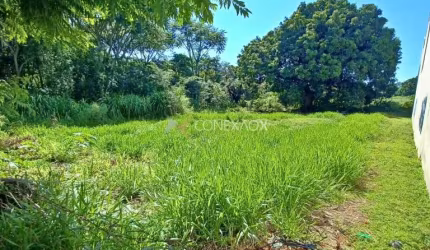 Terreno comercial à venda na Avenida Doutor Romeu Tortima, s/n, Cidade Universitária, Campinas por R$ 1.400.000