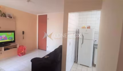 Apartamento com 2 quartos à venda na Rua João Tonoli, 235, Jardim das Bandeiras, Campinas, 60 m2 por R$ 195.000