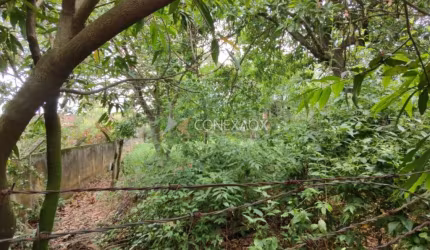 Terreno em condomínio fechado à venda na Rua Mariazinha Leite Campagnolli, 1.121, Parque Xangrilá, Campinas por R$ 850.000