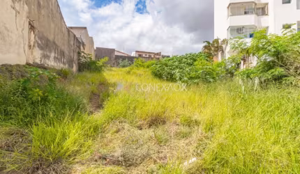 Terreno comercial à venda na Rua Caçapava, 81, Vila Industrial, Campinas por R$ 850.000