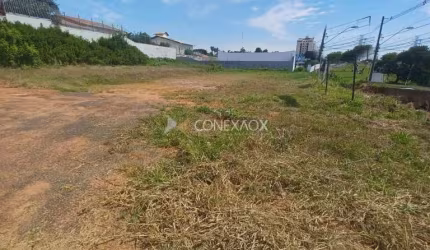 Terreno comercial para alugar na Avenida Iguatemi, Vila Brandina, Campinas por R$ 12.500