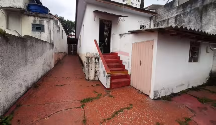 CASA TERREA NA AVENIDA MAZZEI 7 X 40M CASA ANTIGA, ÓTIMA ESTRUTURA, QUINTAL COM ÁRVORES