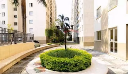 Apartamento Térreo com  03 Quartos- a venda, Vila Guilherme