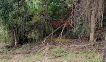 Terreno a venda, Jardim Peri, Condomínio Fechado, Itaguaçu, da Cantareira