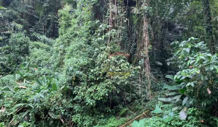 Terreno no condomínio Jardim da Montanha , Serra na Cantareira com projeto.